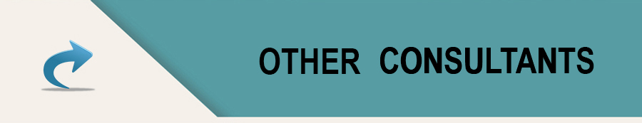 other_consultants
